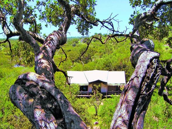 Serengeti Migration Camp - exterior
